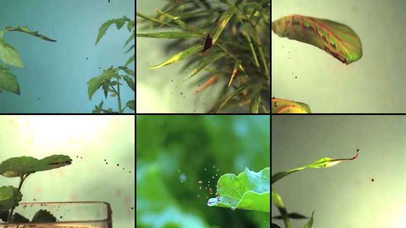 How are droplets related to disease transmission?