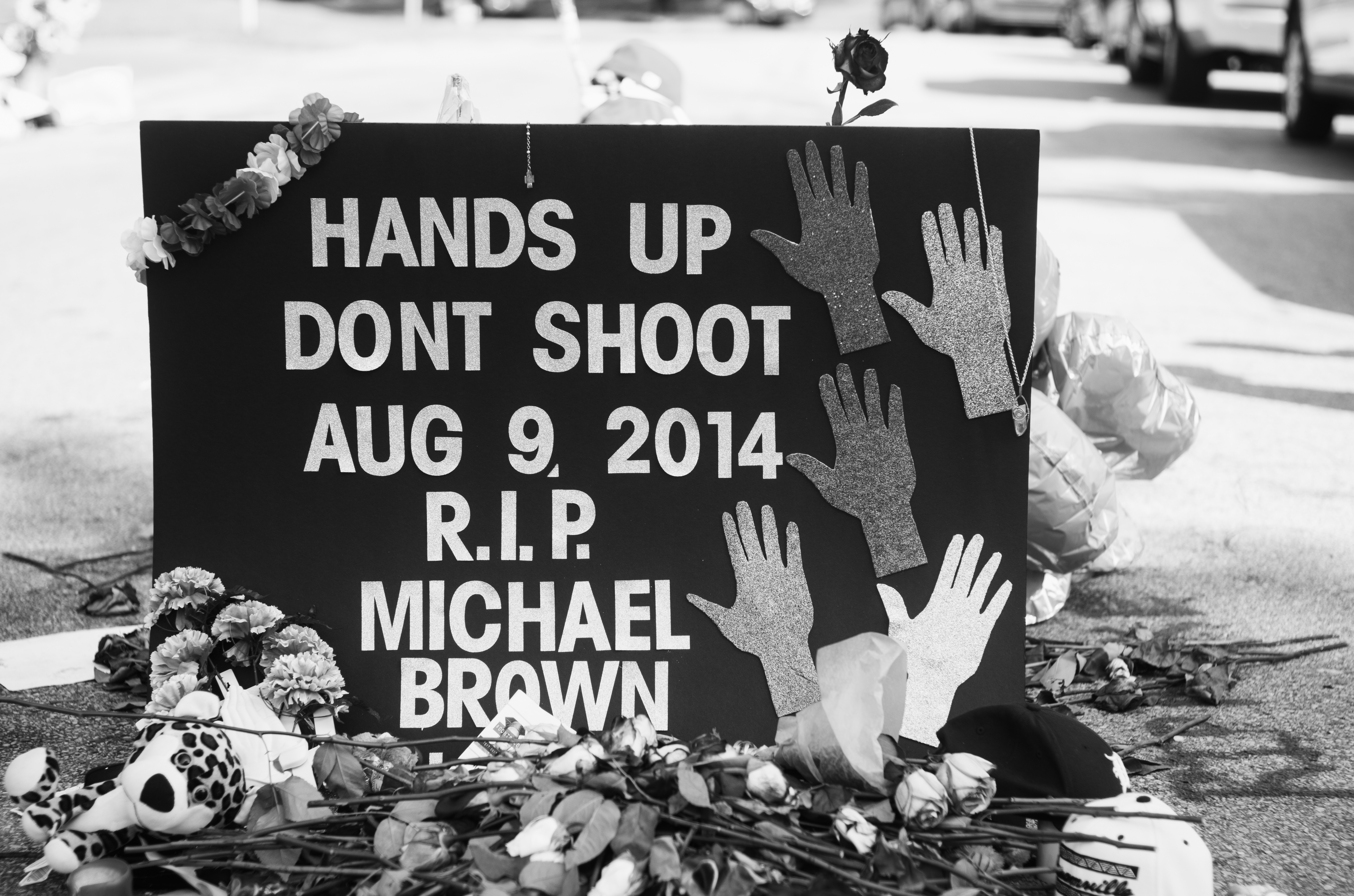 The Shooting of Michael Brown and Ferguson, Mo.