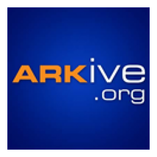 ARKive