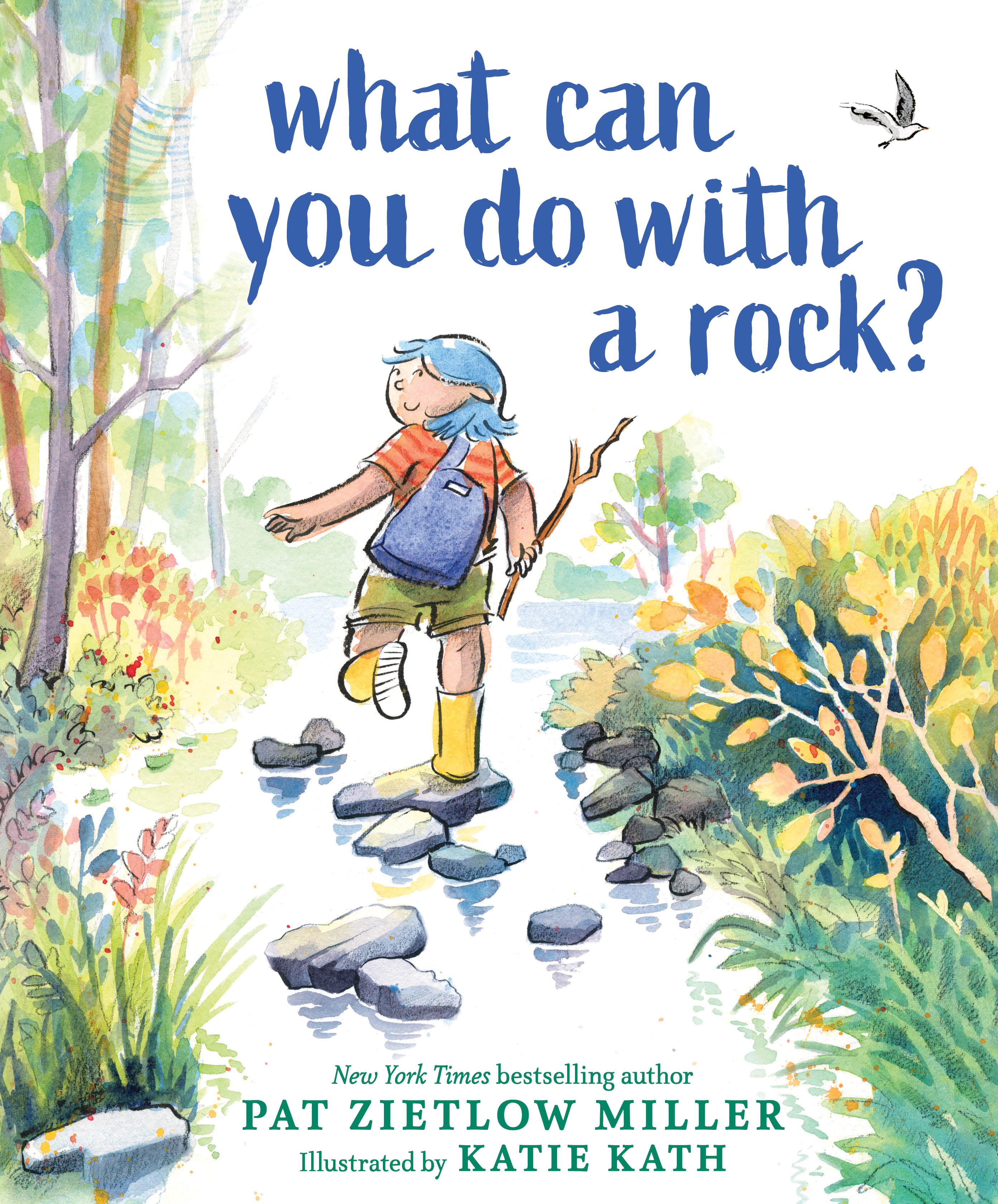 What Can You Do With a Rock? by Pat Zietlow Miller Educator Guide