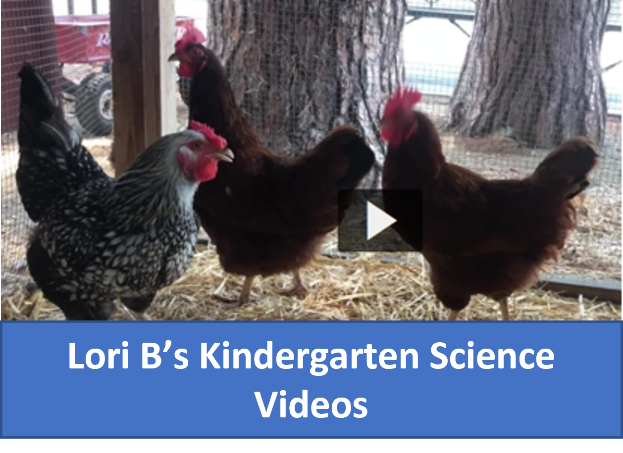 Kindergarten Science Lesson Videos - NGSS Based