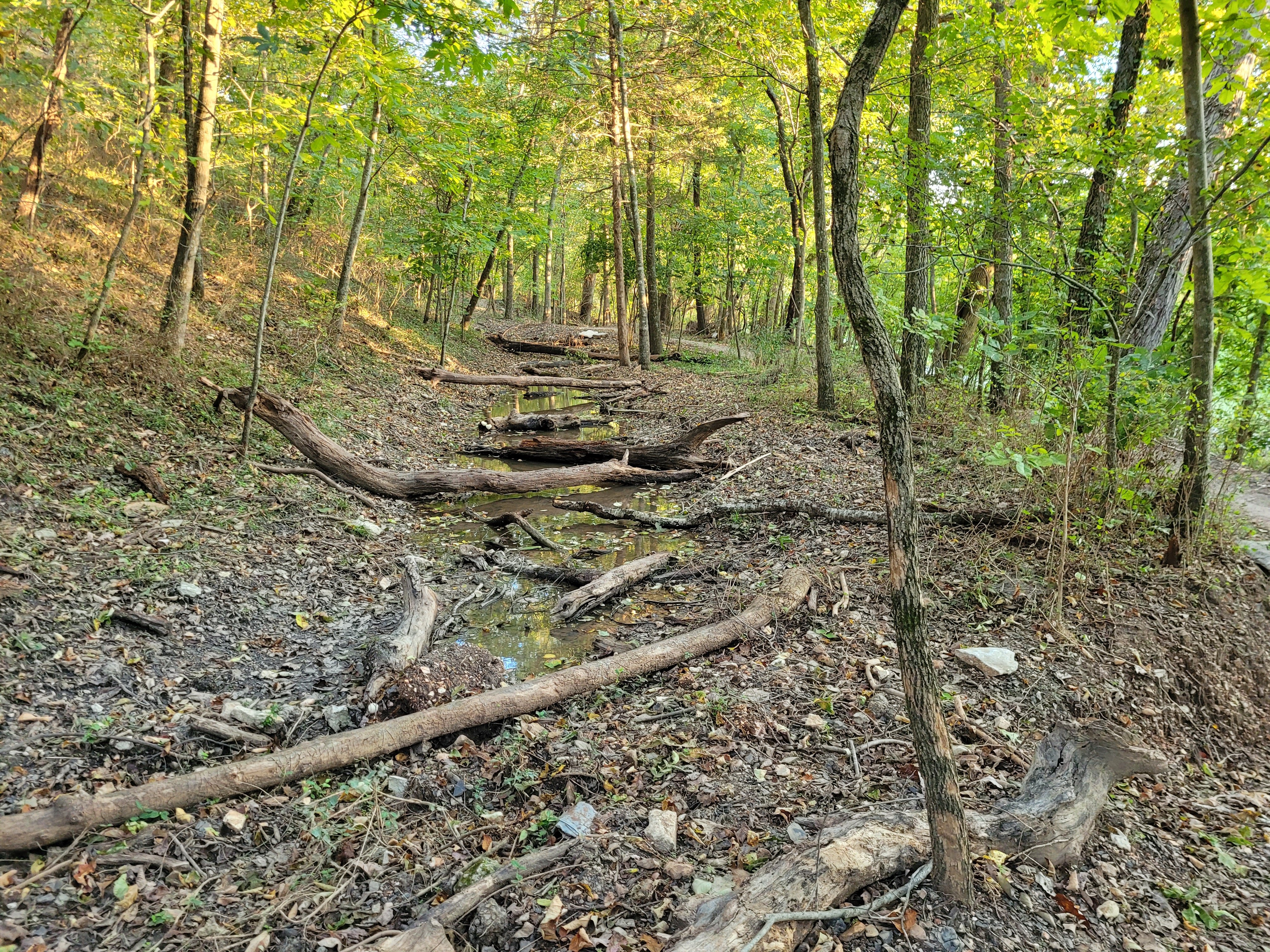 Nature Walks Lesson Plan