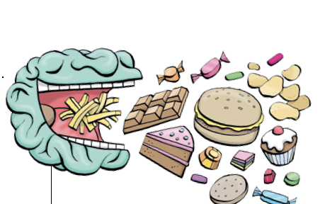 Big Picture: Food and Diet science magazine