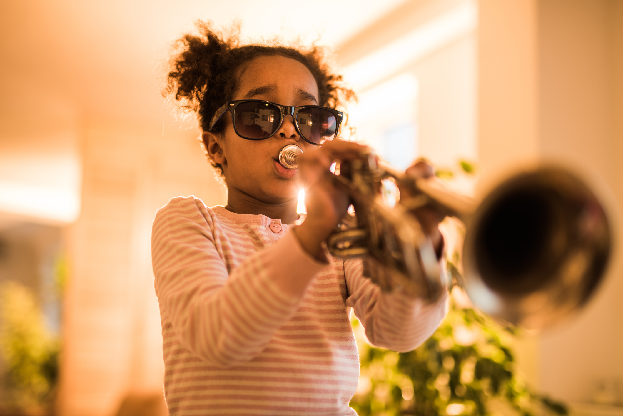 Composer Leroy Anderson Unit for Young Listeners