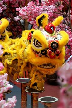 Lion Dance Puppet