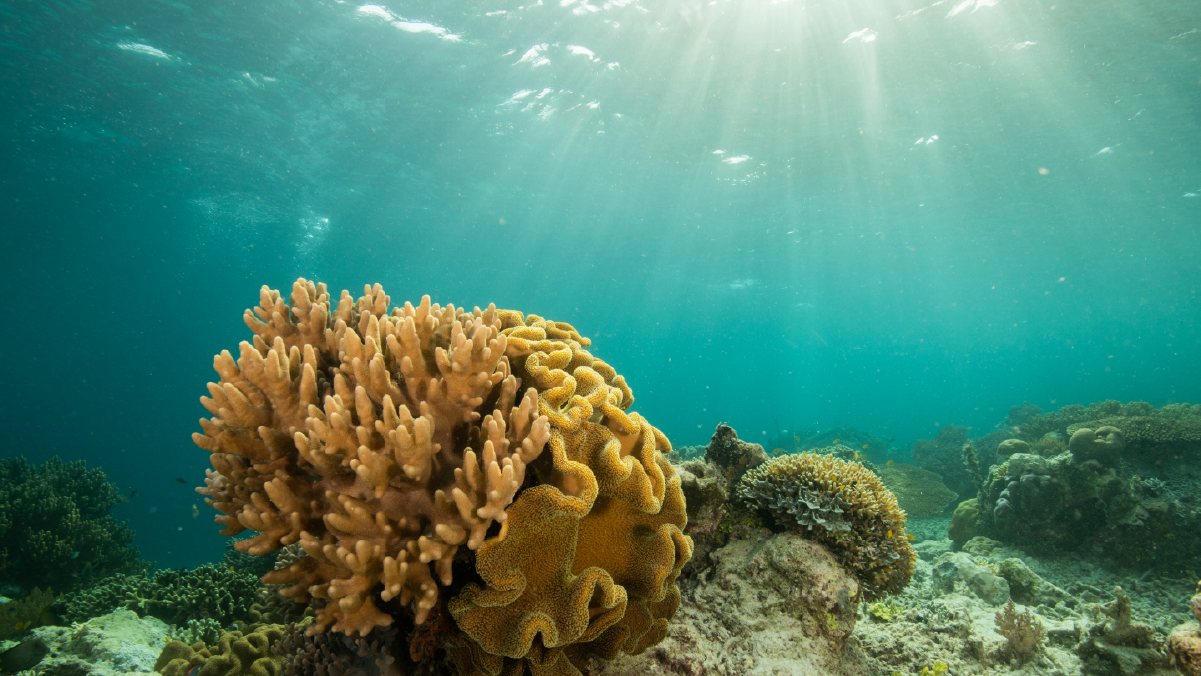 Protecting a local hotspot activity