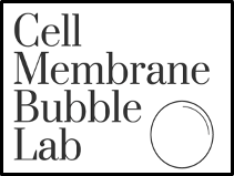 Cell Membrane Soap Bubble Lab