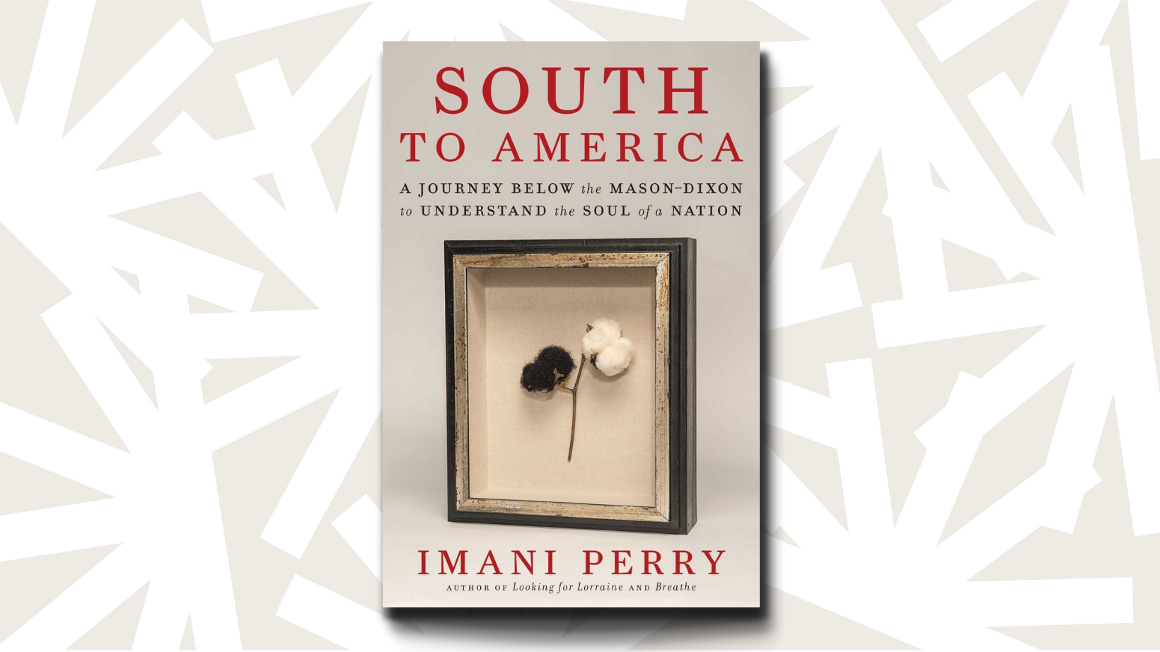SOUTH TO AMERICA:  A JOURNEY BELOW the MASON-DIXON to UNDERSTAND the SOUL of a NATION