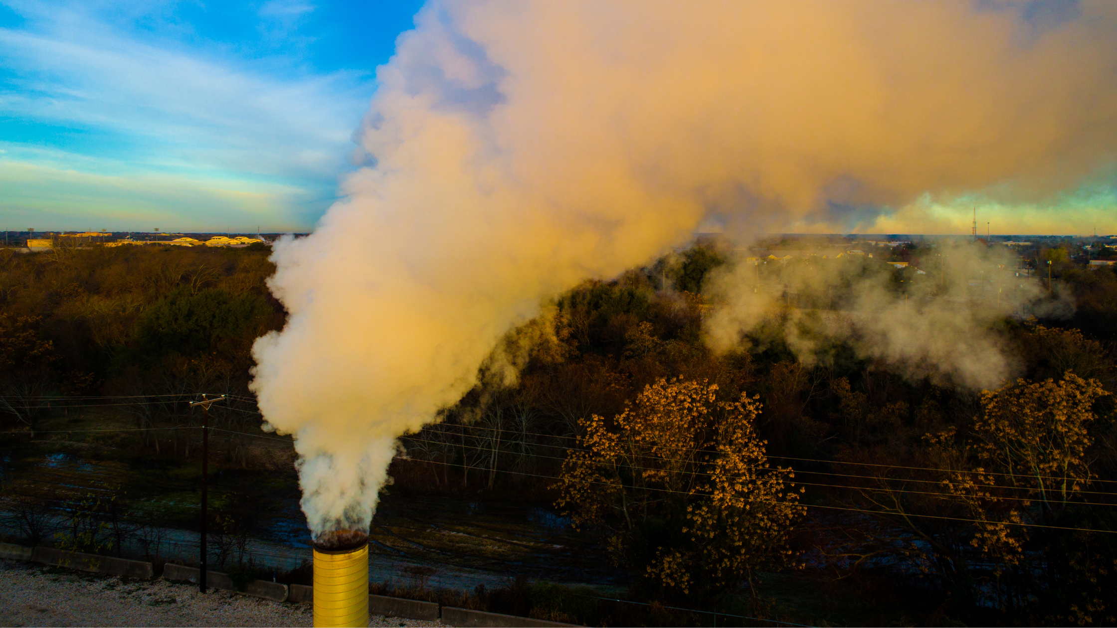 ELA, Media Literacy, & Carbon Emission Reduction Strategies 