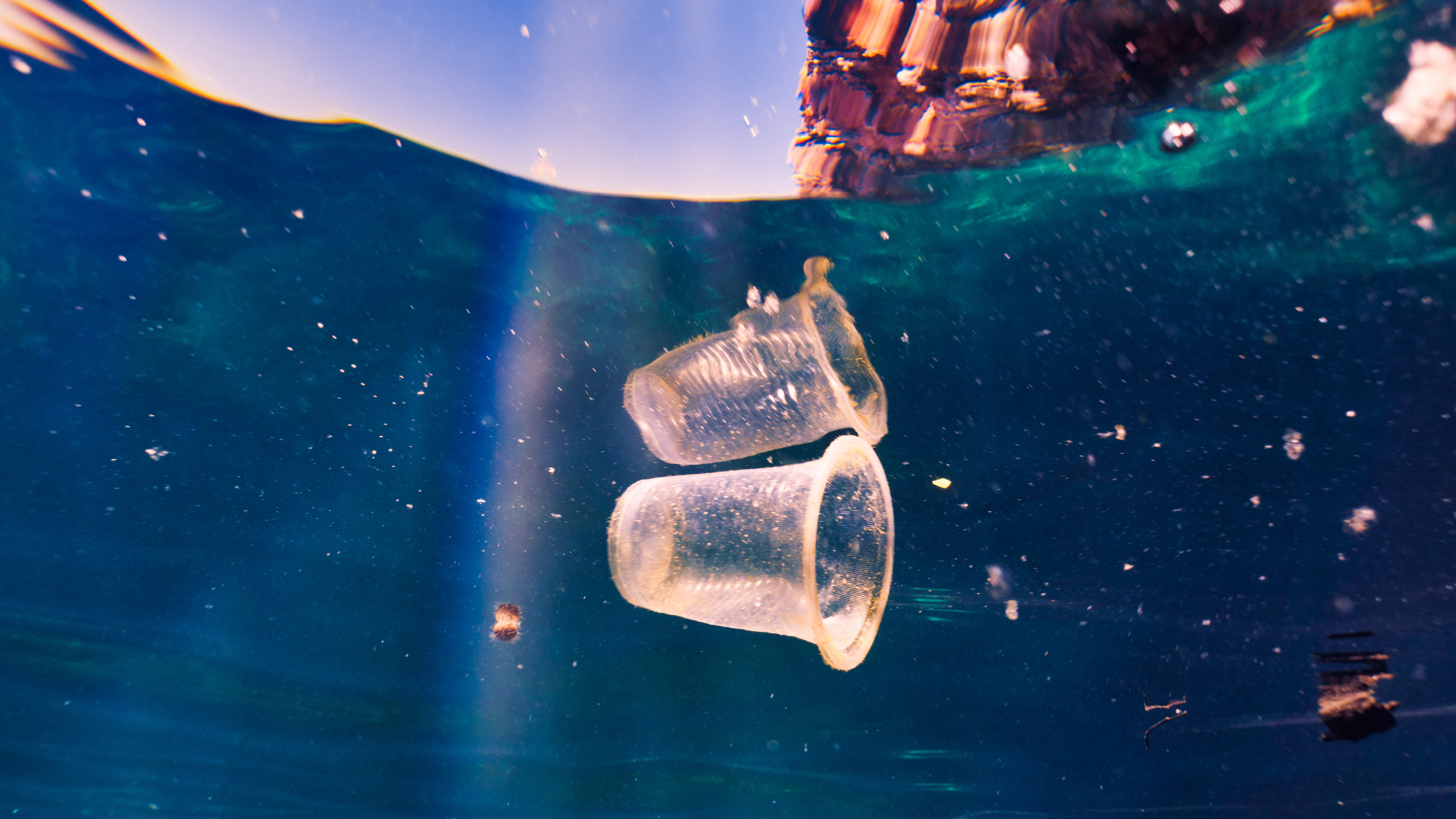 Persuasive Writing & Plastic Pollution in Oceans 