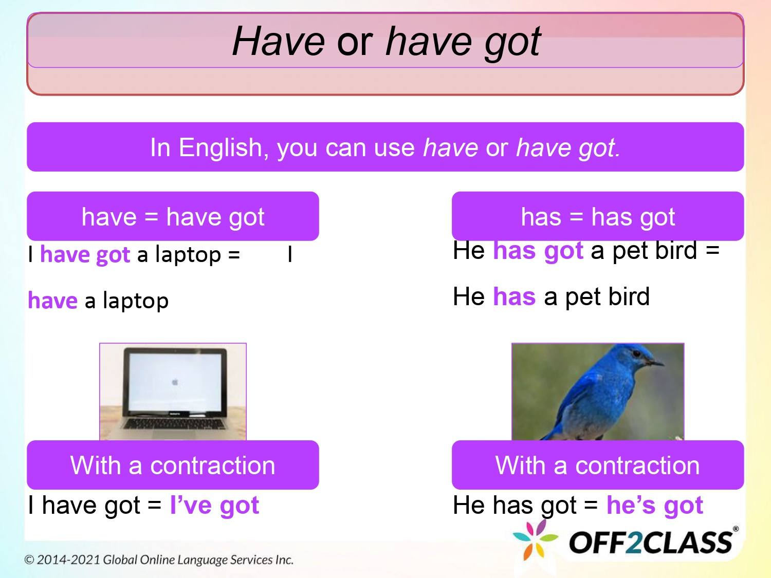 Have And Have Got: An ESL Lesson Plan