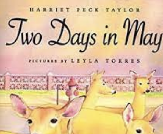 Two Days in May (Close Reading Activities)