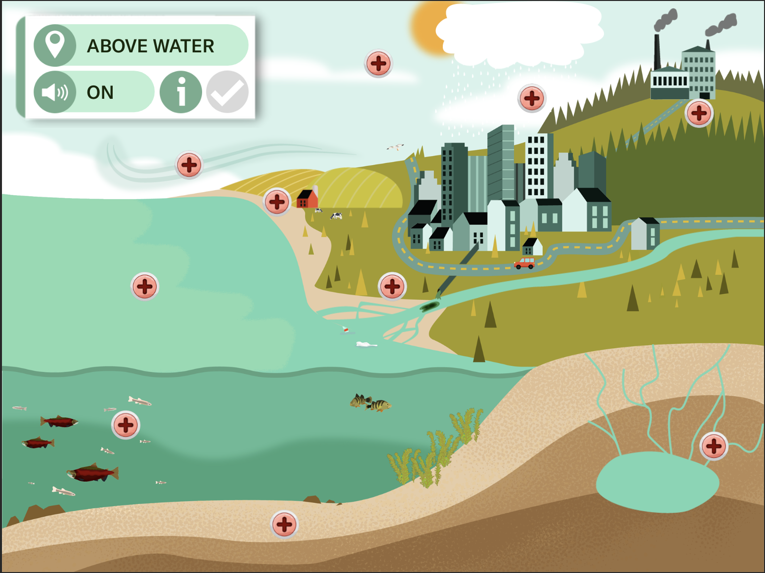 Plastic in our waterways