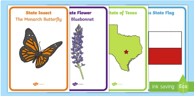 Texas State Symbols Posters