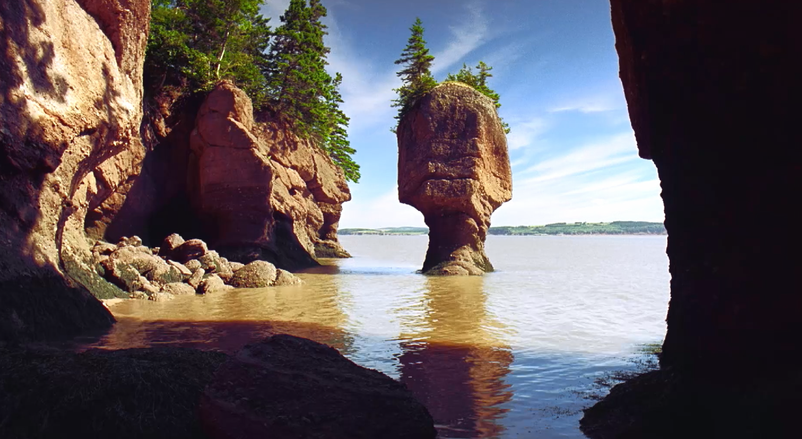 Channel your inner chef: Create  a menu using species found in the Bay of Fundy