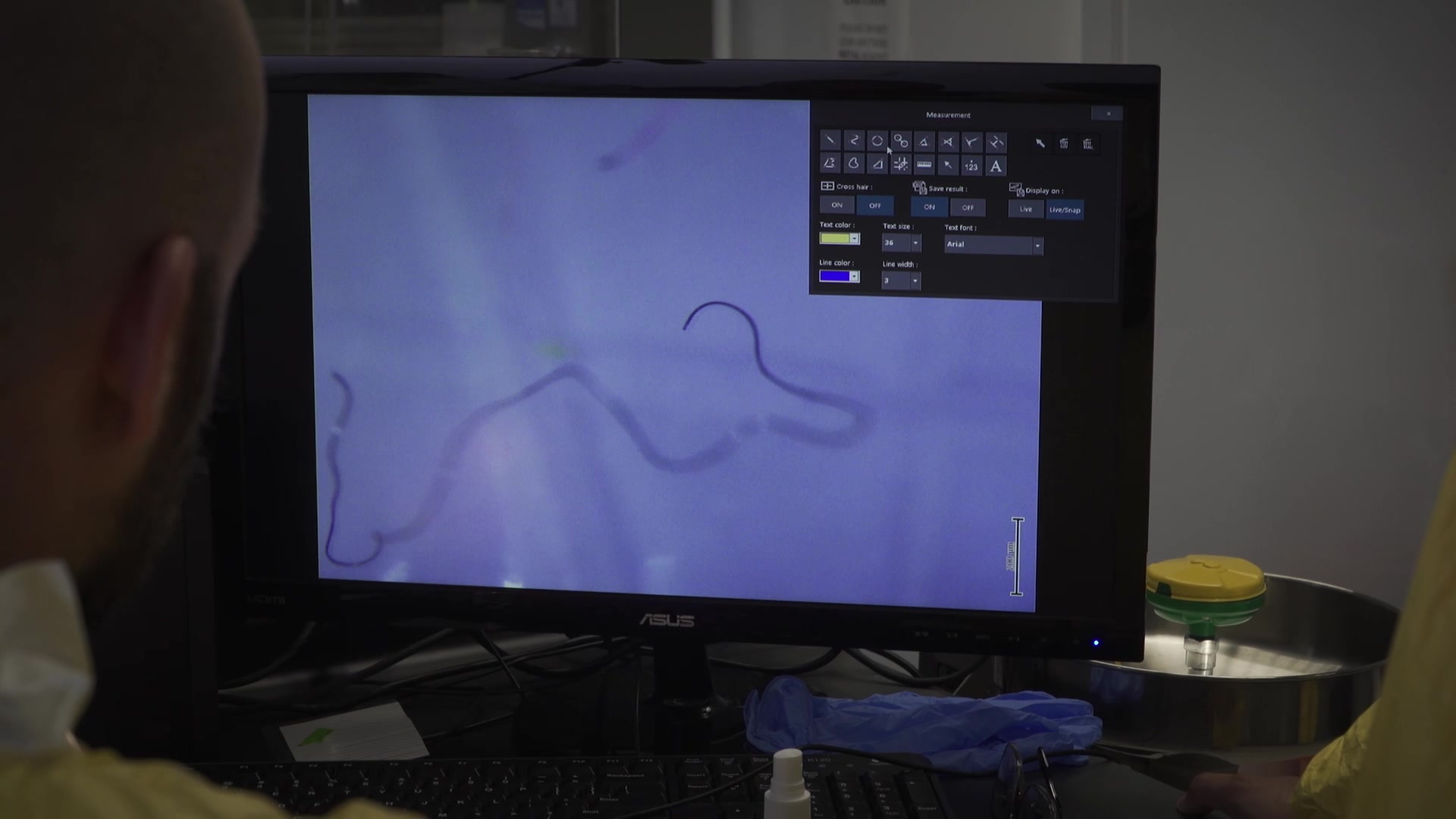 Plastic in my salt Lab challenge 