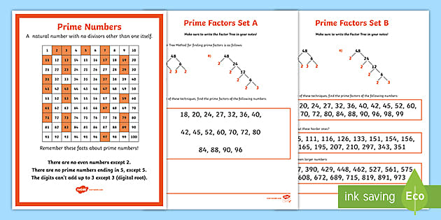 Prime Factors Activity