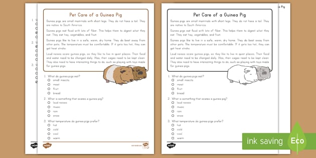 Second Grade Pet Care of a Guinea Pig Reading Passage Comprehension Activity