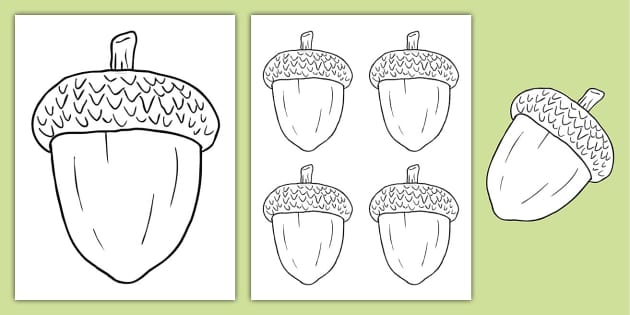 Acorn Templates