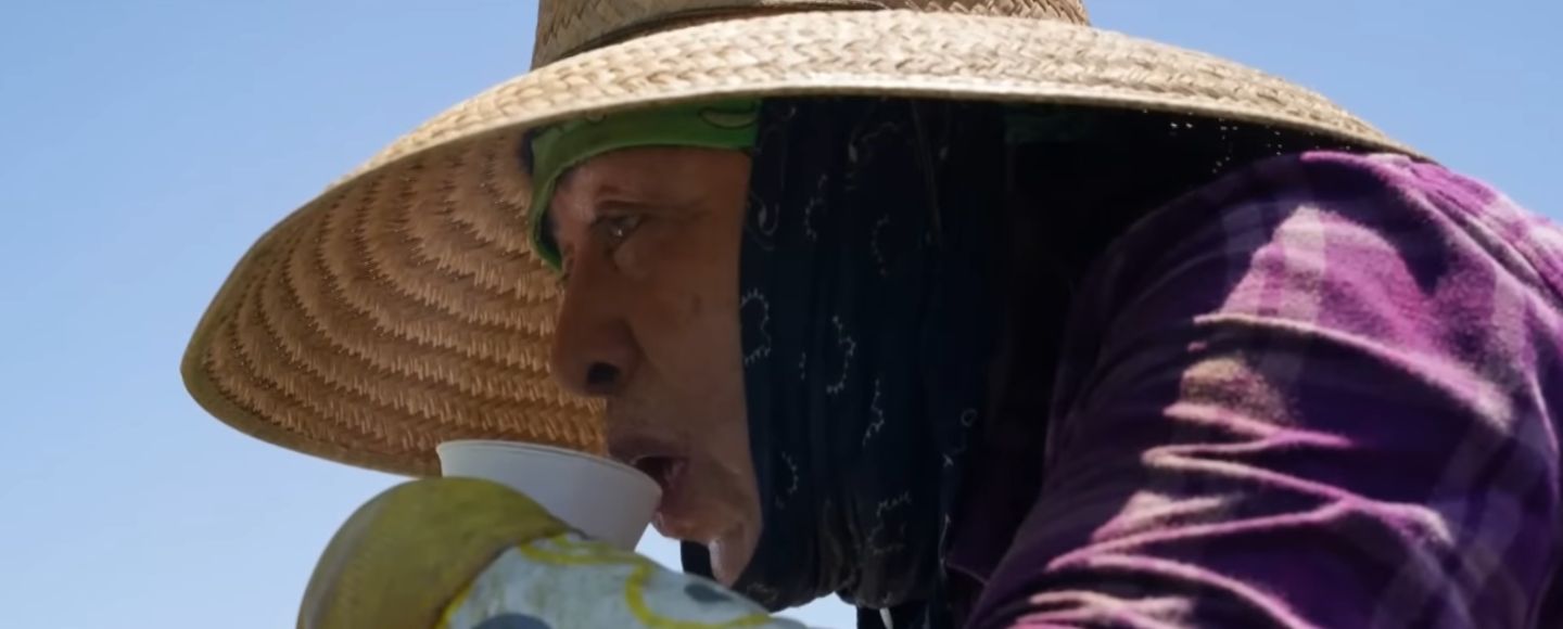 Brutal Heatwaves and Human-Driven Climate Change