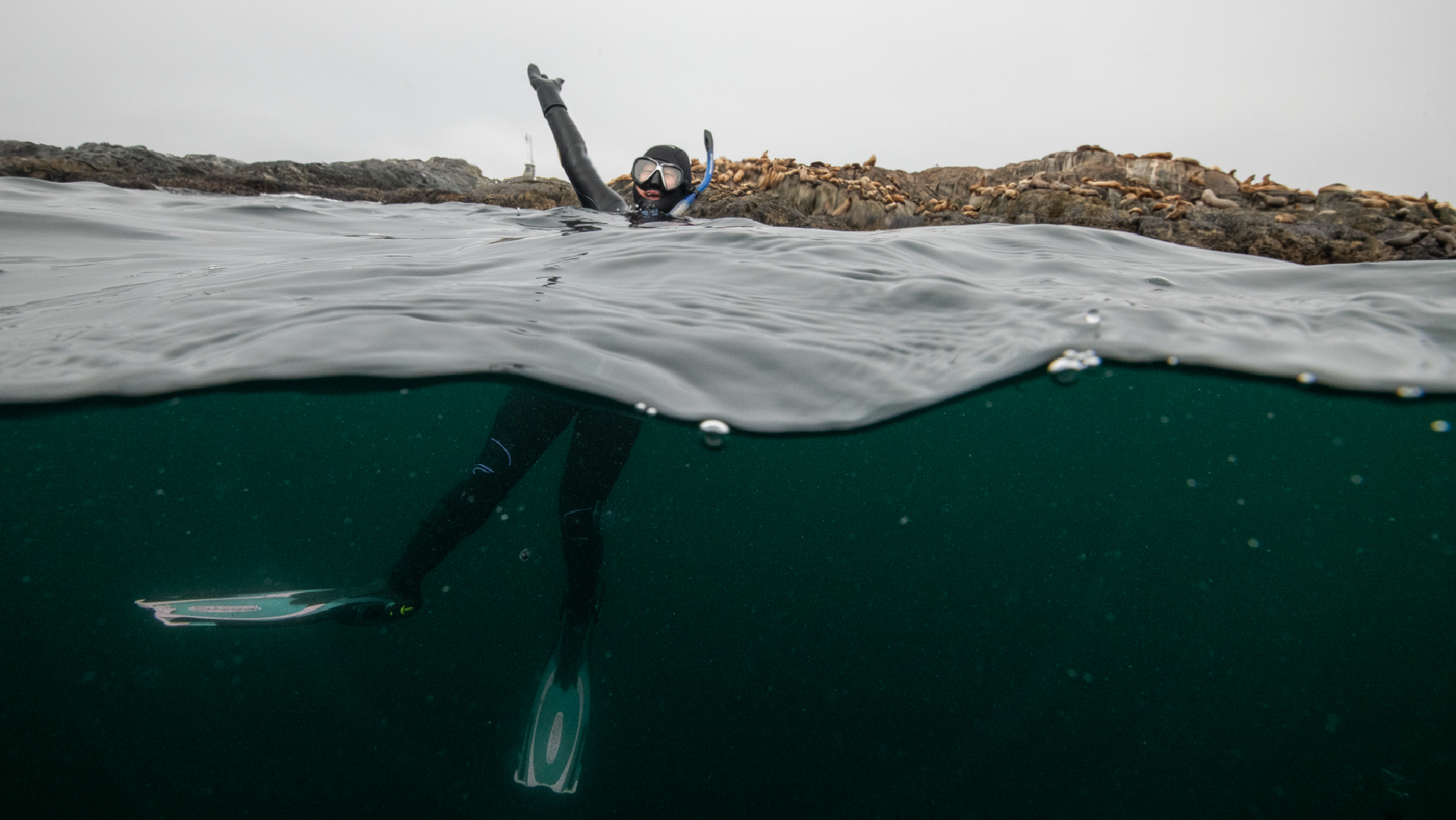 Plastic upcycling challenge and the linear and circular economy