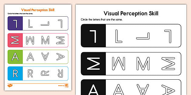 Visual Perception Activity