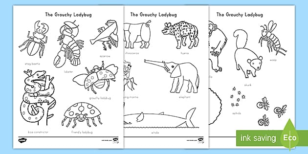 The Grouchy Ladybug Words Coloring Sheet