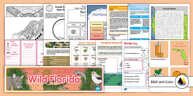 Florida Teaching Pack