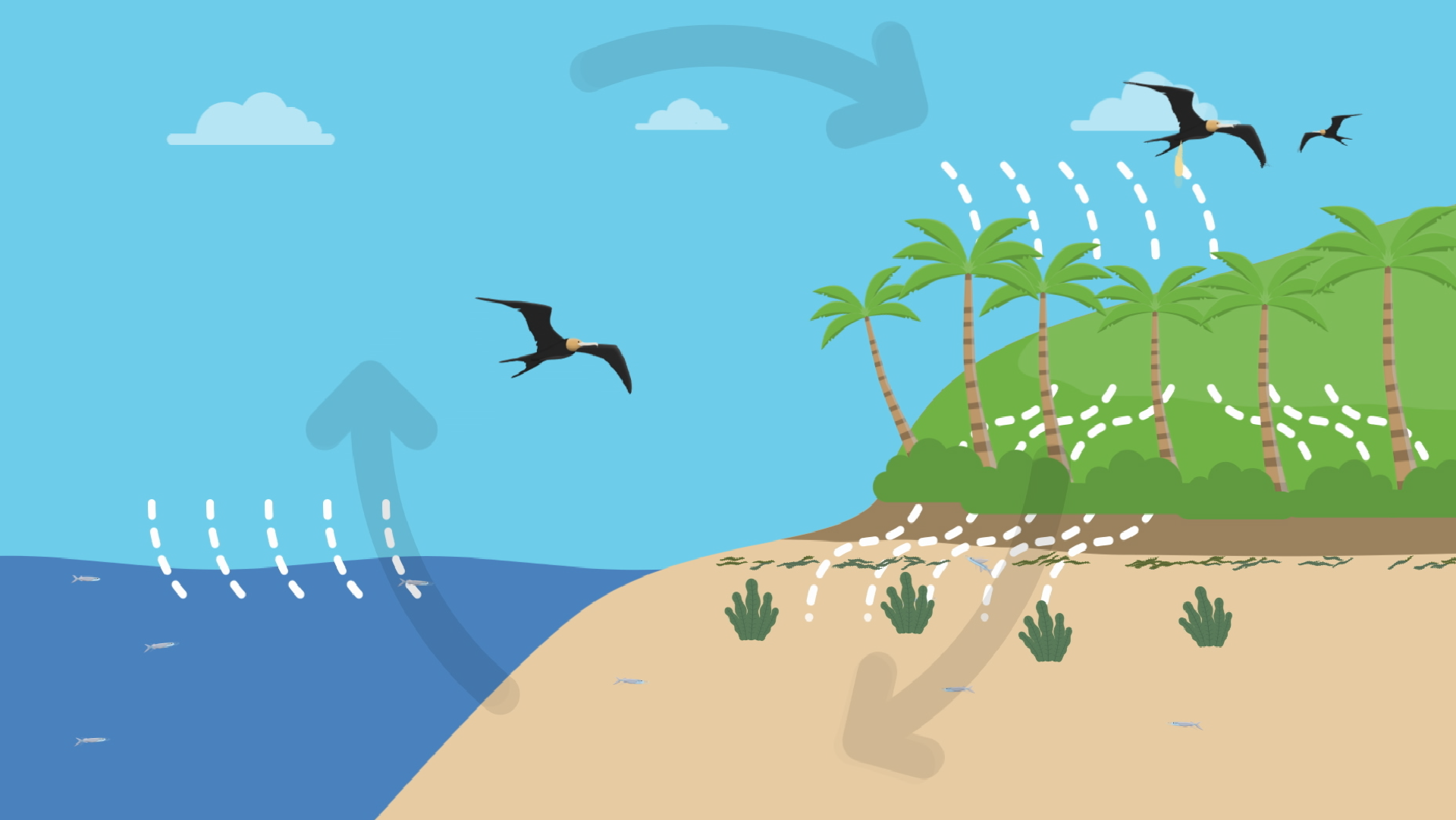 Create a jaws-ome poster or video!