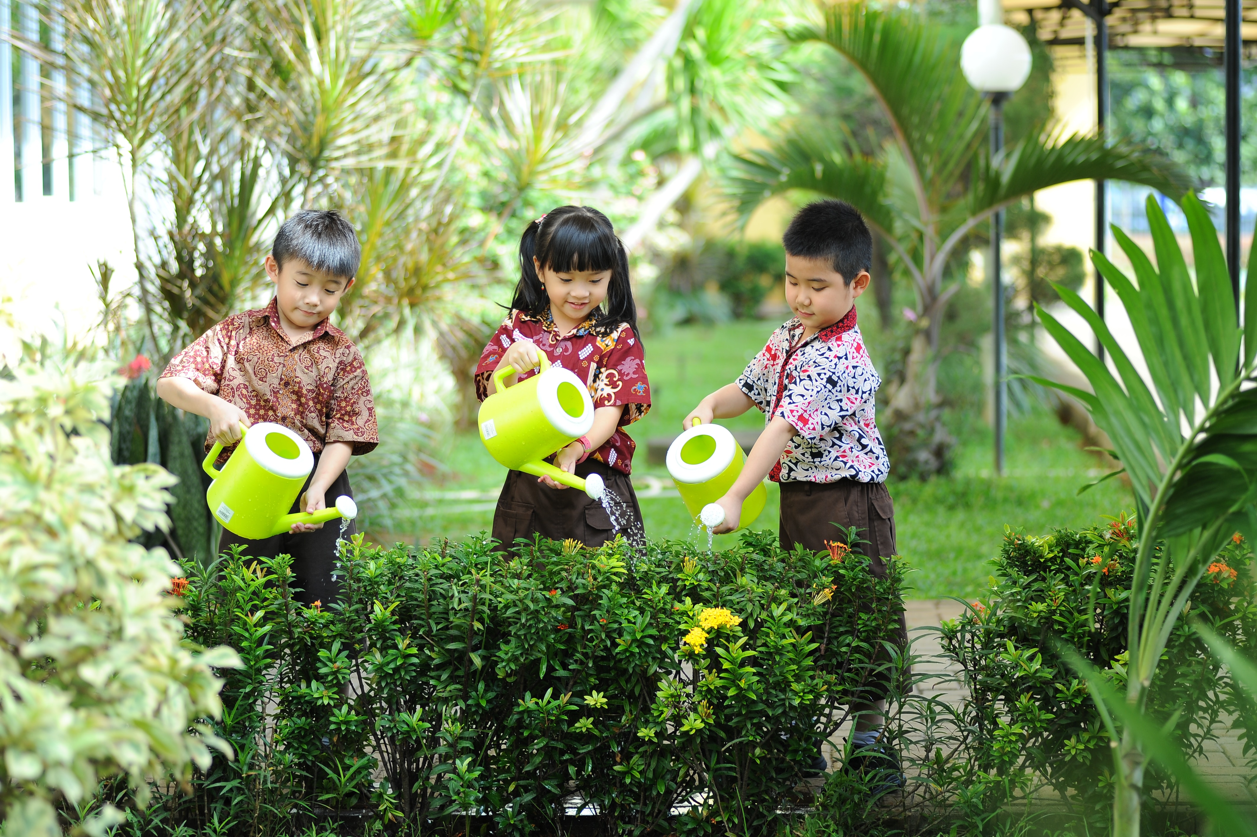 Understanding Natural Resources: Where is your food from?