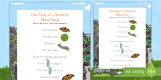 Life Cycle of a Butterfly Song