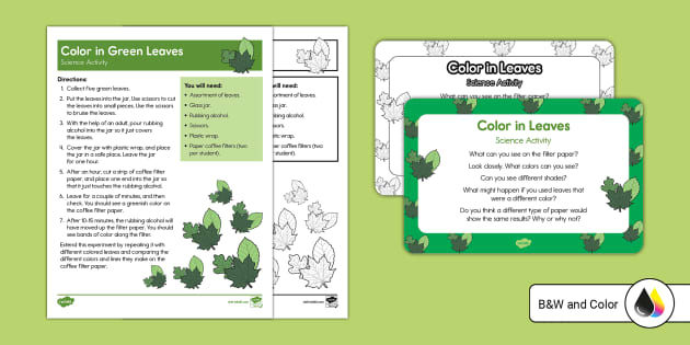 Color in Leaves Science Activity