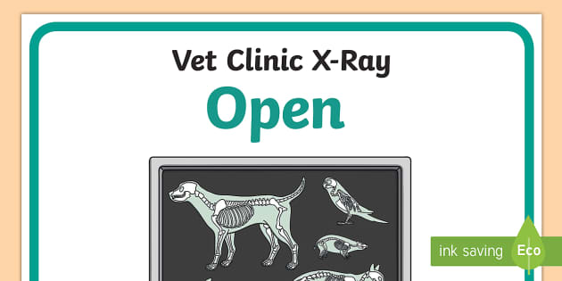 Veterinary Clinic Dramatic Play Animal X-Ray Poster