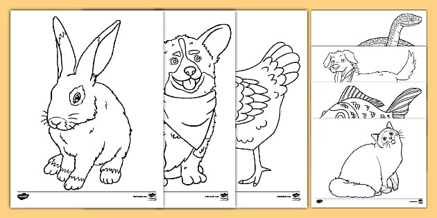 Pets Coloring Pages