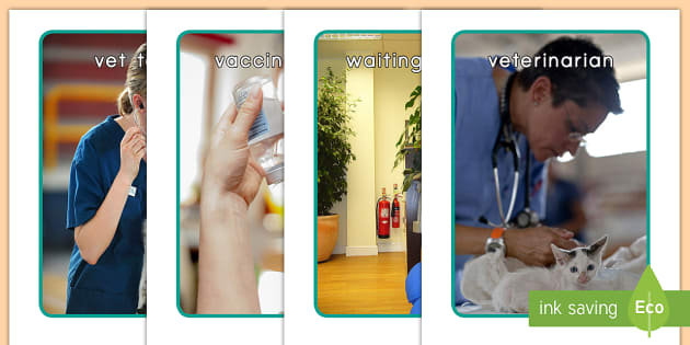 Veterinary Hospital Photos