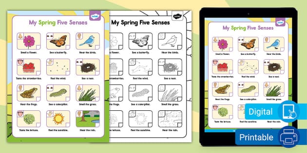 My Spring Five Senses Scavenger Hunt