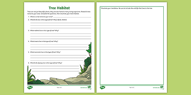 Tree Habitat Research Activity for 3rd-5th Grade
