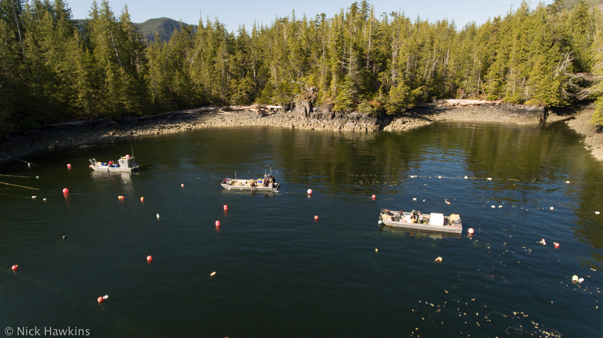Indigenous Autonomy: Interactive timeline and postcard activity about the Haíɫzaqv Nation