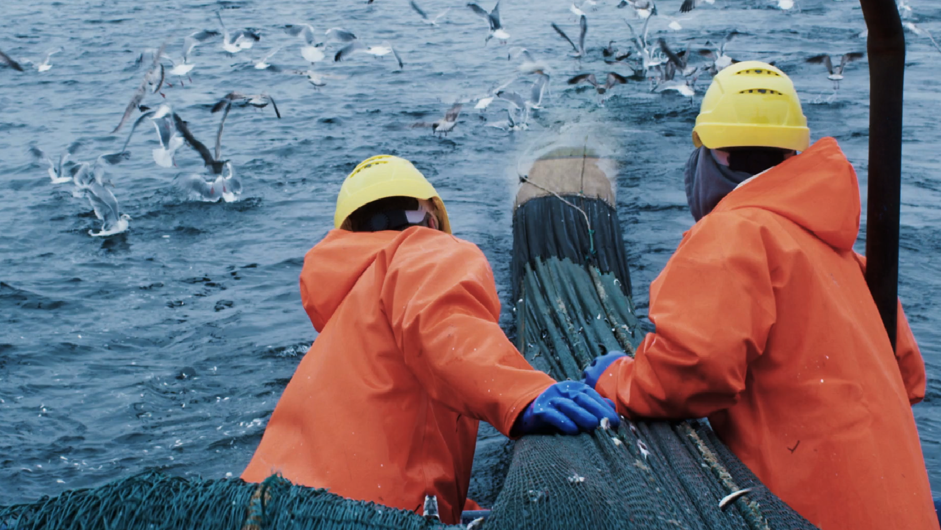 Ocean Scenarios: Help a fisher choose between fishing methods 