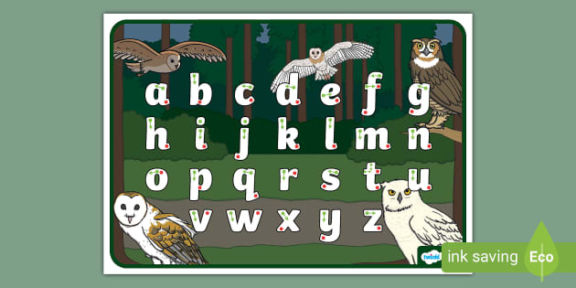 Owls Letter Formation Practice Activity