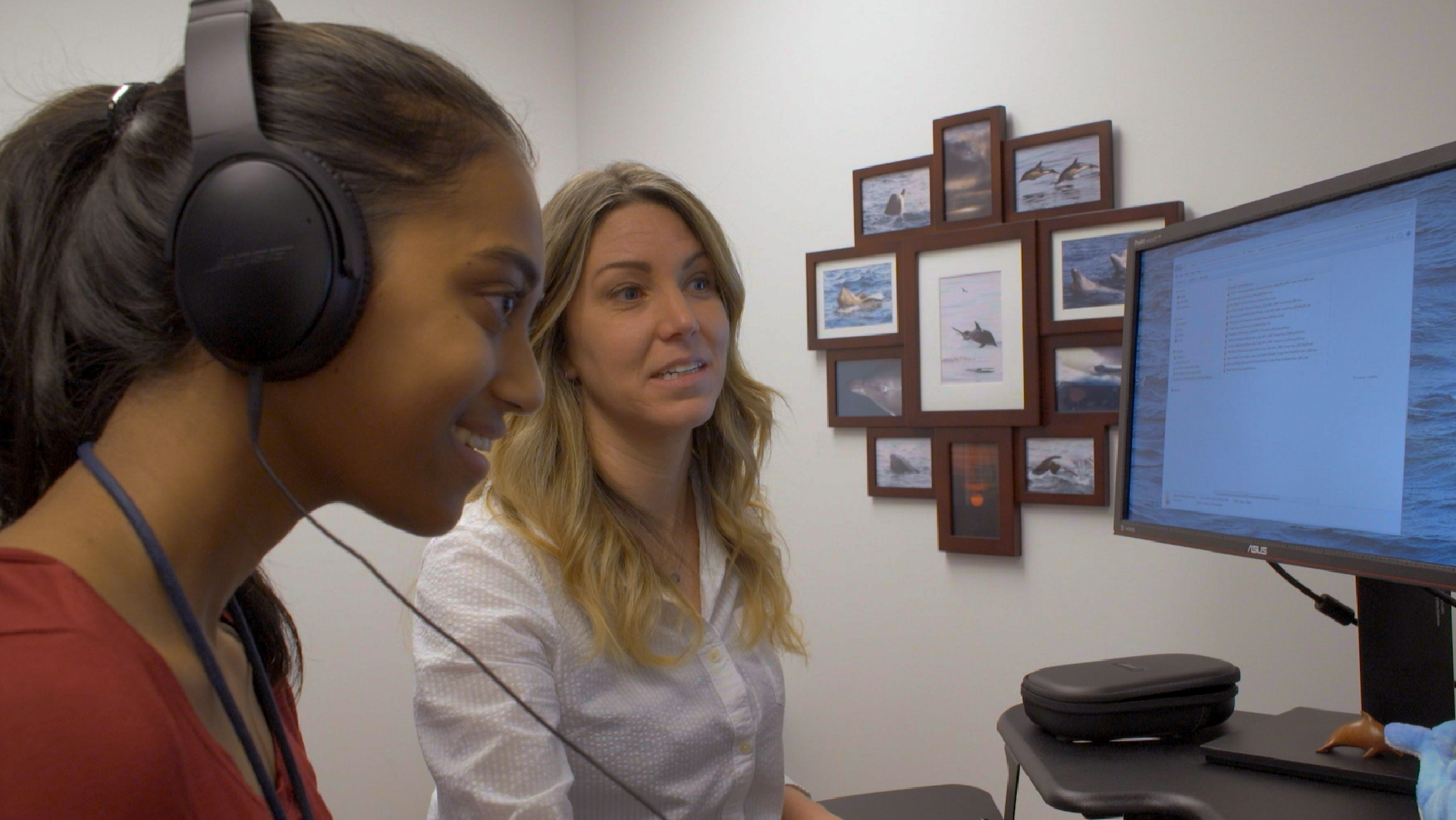 Listen to the whales! Audio reflection activity 