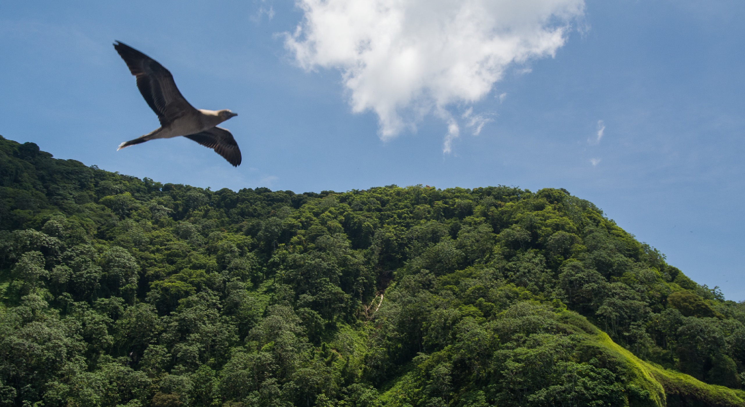 Ocean science: Nutrient cycle and ecosystems -- 360° video and photo tour activity