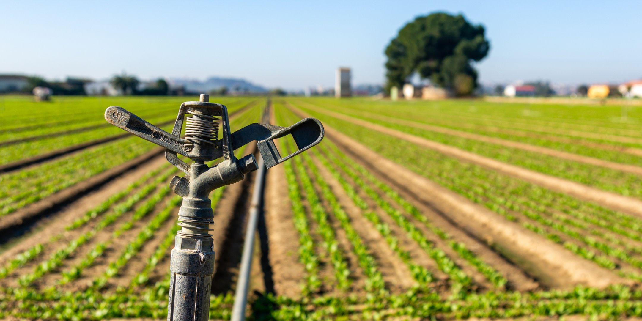 Understanding Groundwater Depletion and Climate Change 