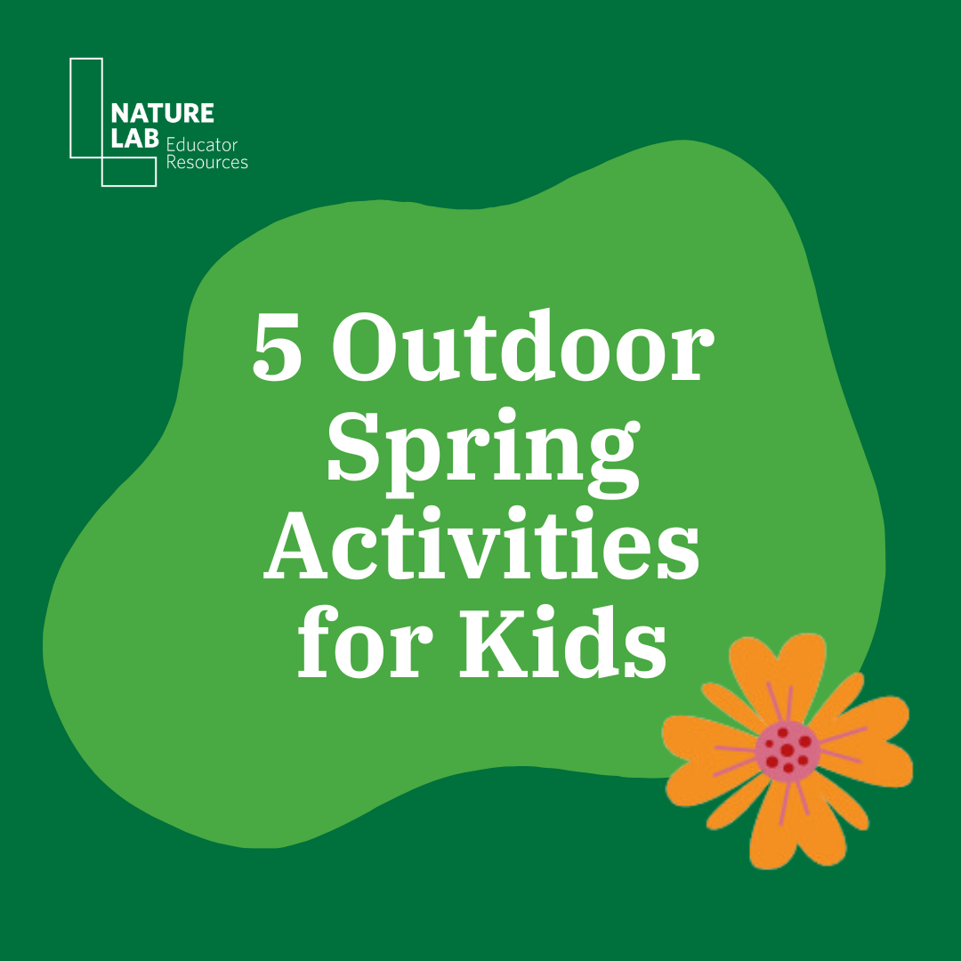 Spring Outdoor Activity Guide