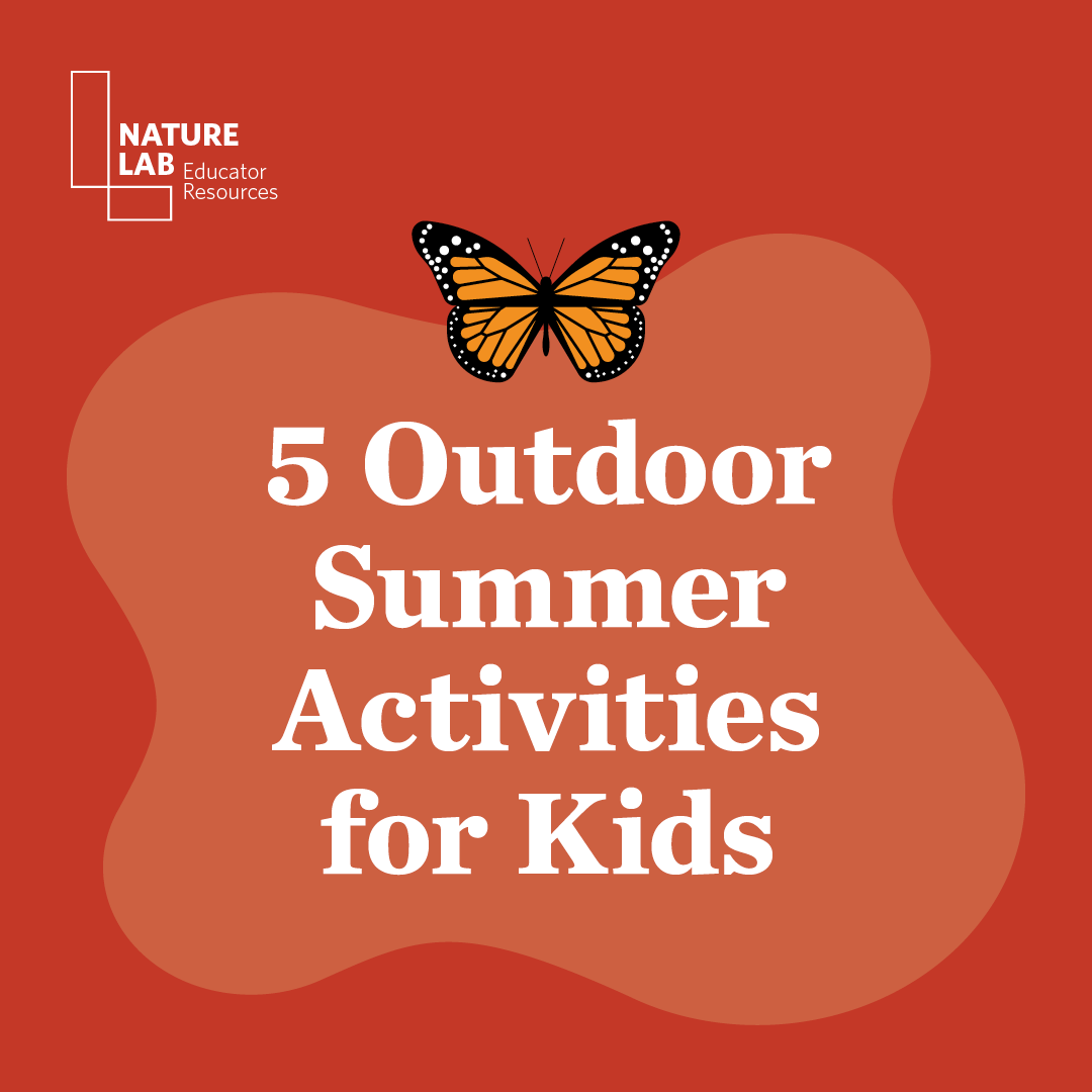 Summer Outdoor Activity Guide
