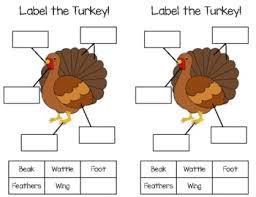 Label the Turkey