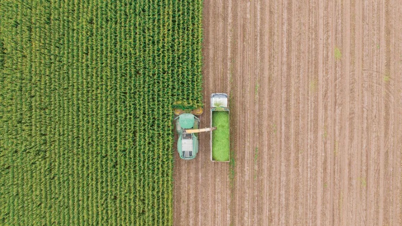 How to Lower Agriculture and Land-Use Emissions