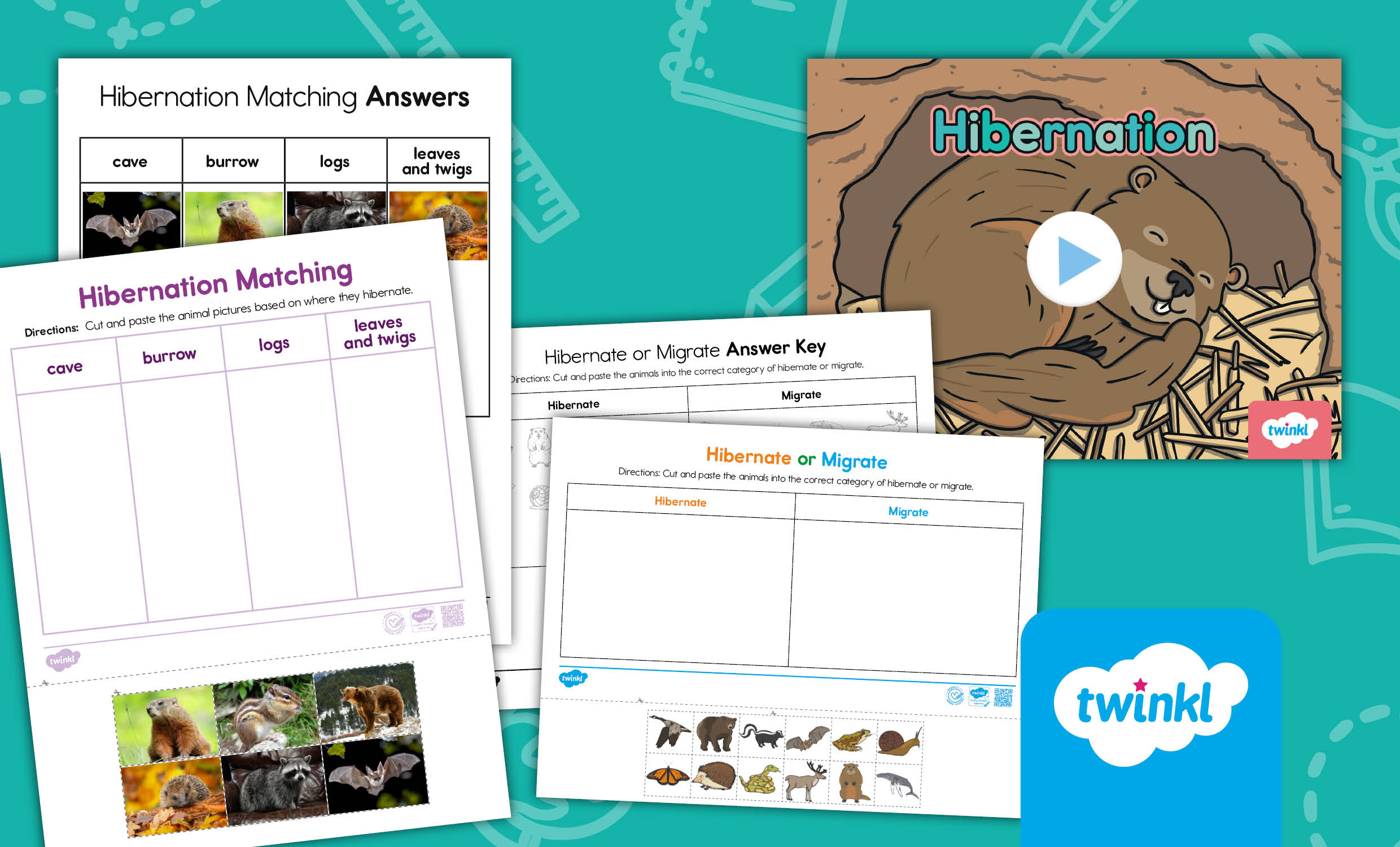 Hibernation Lesson pack for K-2nd Grade