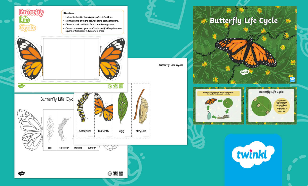 Lifecycle of a butterfly Lesson Pack for K-2nd Grade