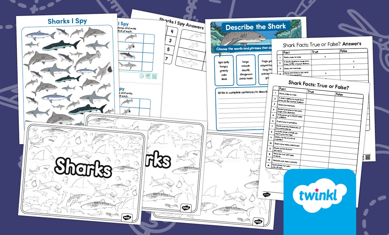 Shark Lesson Activity Pack for K-2nd Grade